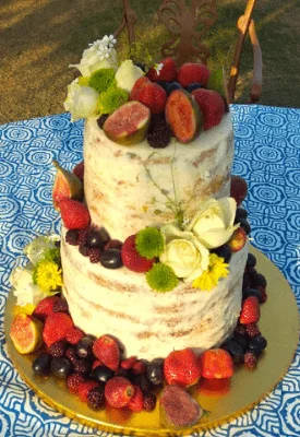 2 tier naked wedding cake