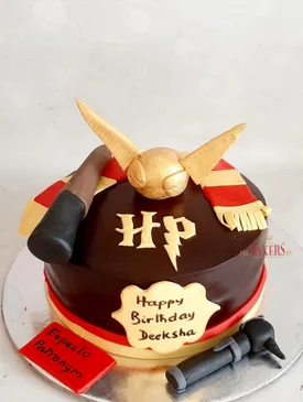 Chocolate Harry Potter Cake